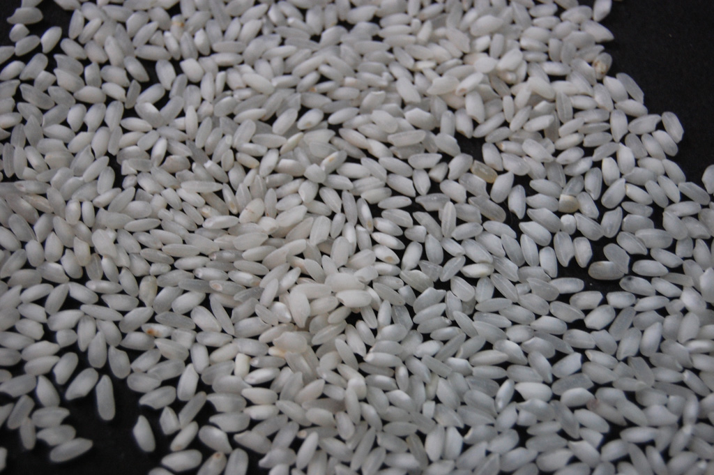 Kranti Rice (Raw)